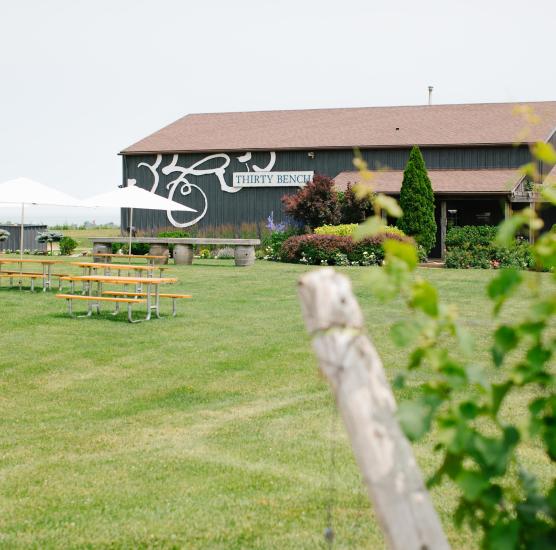 Thirty Bench Wine Makers