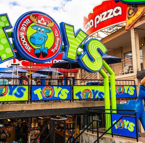 Blue Moose Toy Store