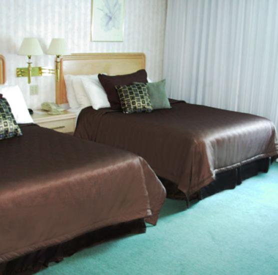 Rodeway Inn Fallsview