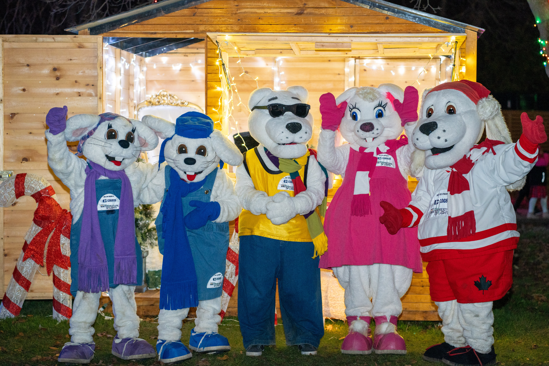 Winter events in Niagara Falls